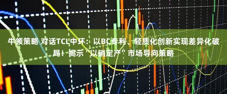 牛领策略 对话TCL中环：以BC专利、轻质化创新实现差异化破局！揭示“以销定产”市场导向策略