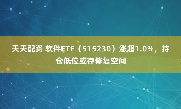 天天配资 软件ETF（515230）涨超1.0%，持仓低位或存修复空间