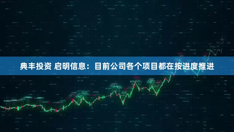 典丰投资 启明信息：目前公司各个项目都在按进度推进
