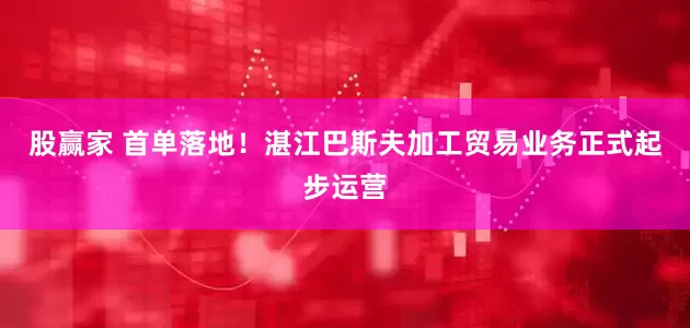 股赢家 首单落地!湛江巴斯夫加工贸易业务正式起步运营